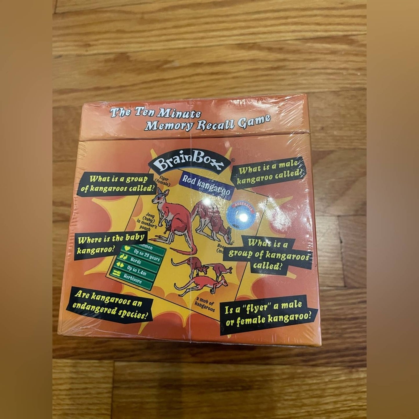 NWT BrainBox Animal Card Game