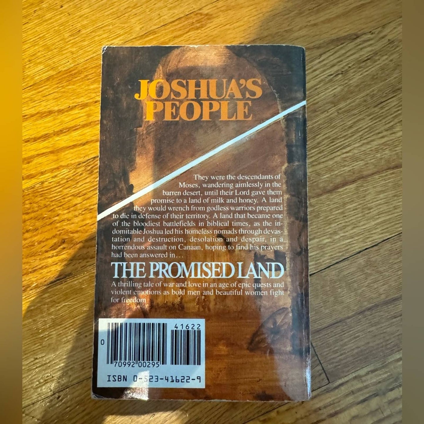 Joshua’s People by Alan Caillou paperback book