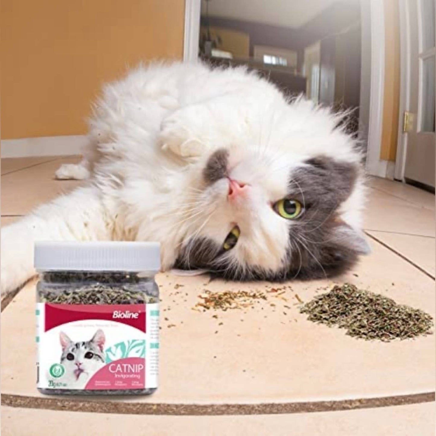 Bioline Catnip Organic Premium Potent Catnip Blend Safe for Cats Use on Cat Toys