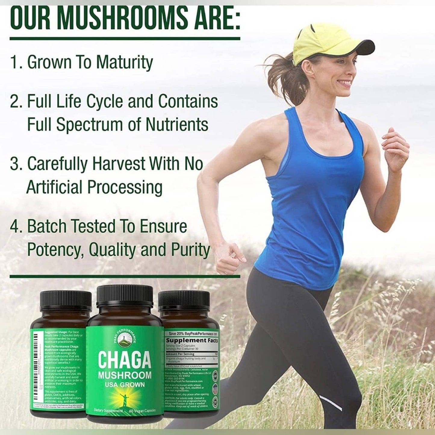 Chaga Mushroom Capsules - USA Grown Made with Chaga Mushrooms 60 Capsules
