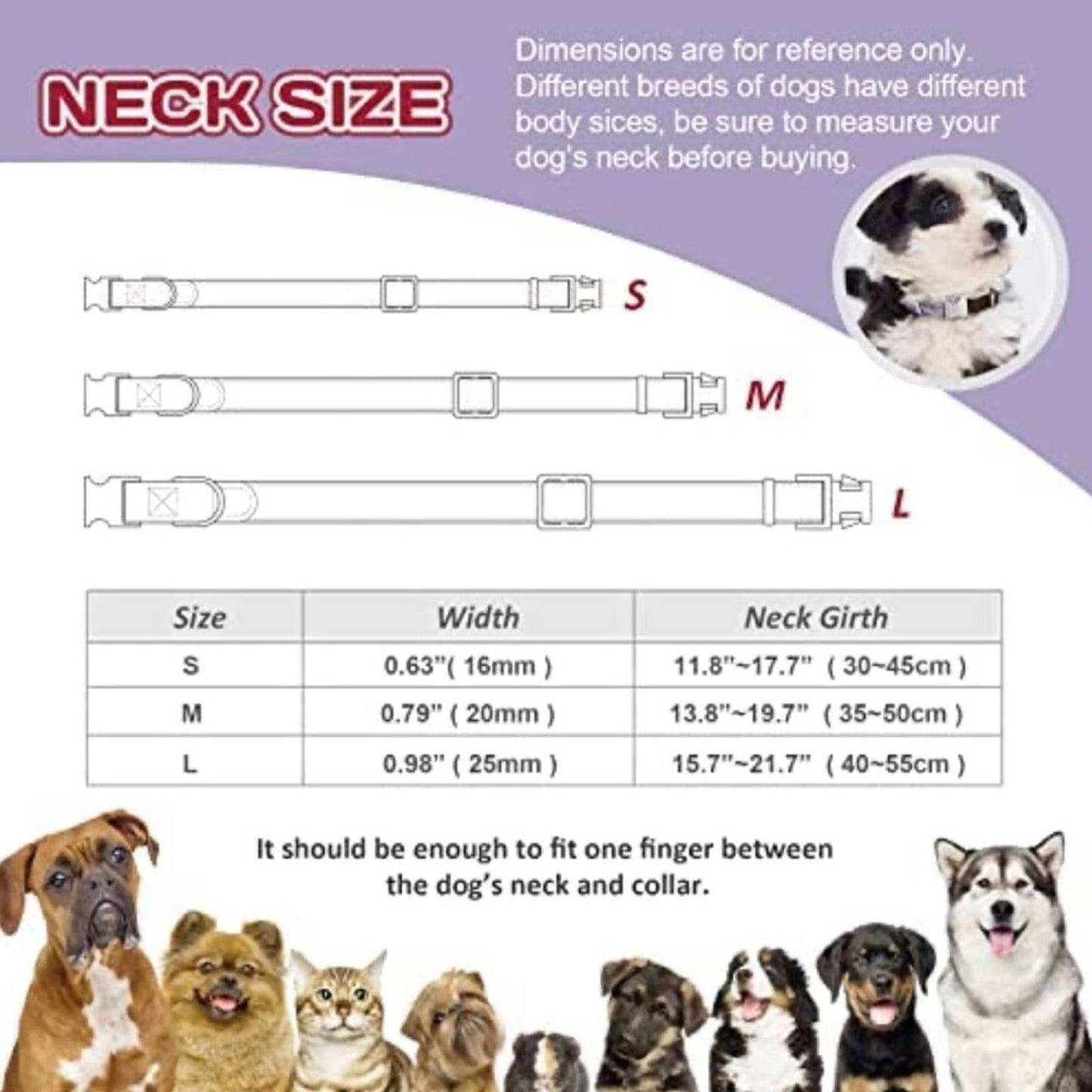 MOBA Pet Dog Collar Metal Buckle Adjustable Dog Collar Size Small Purple