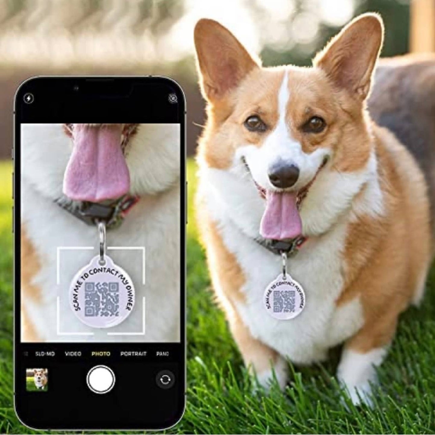 Merry Christmas Design Dog ID Tag, QR Dog Tags Modern Engraved for pets - Black