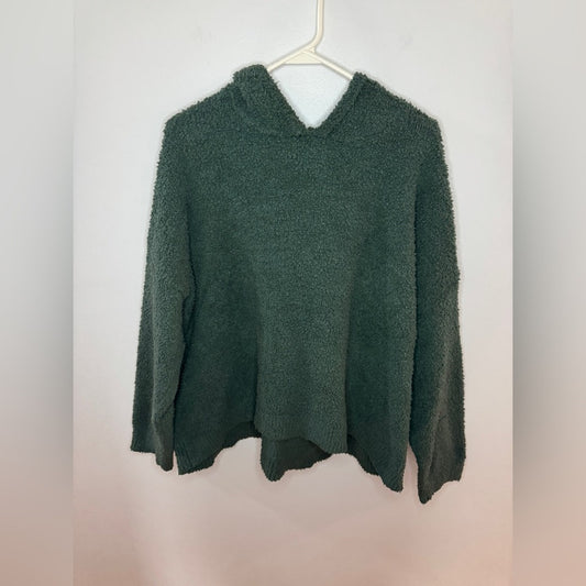 Pre-Owned LG Aerie Green All Love Fuzzy Hoodie