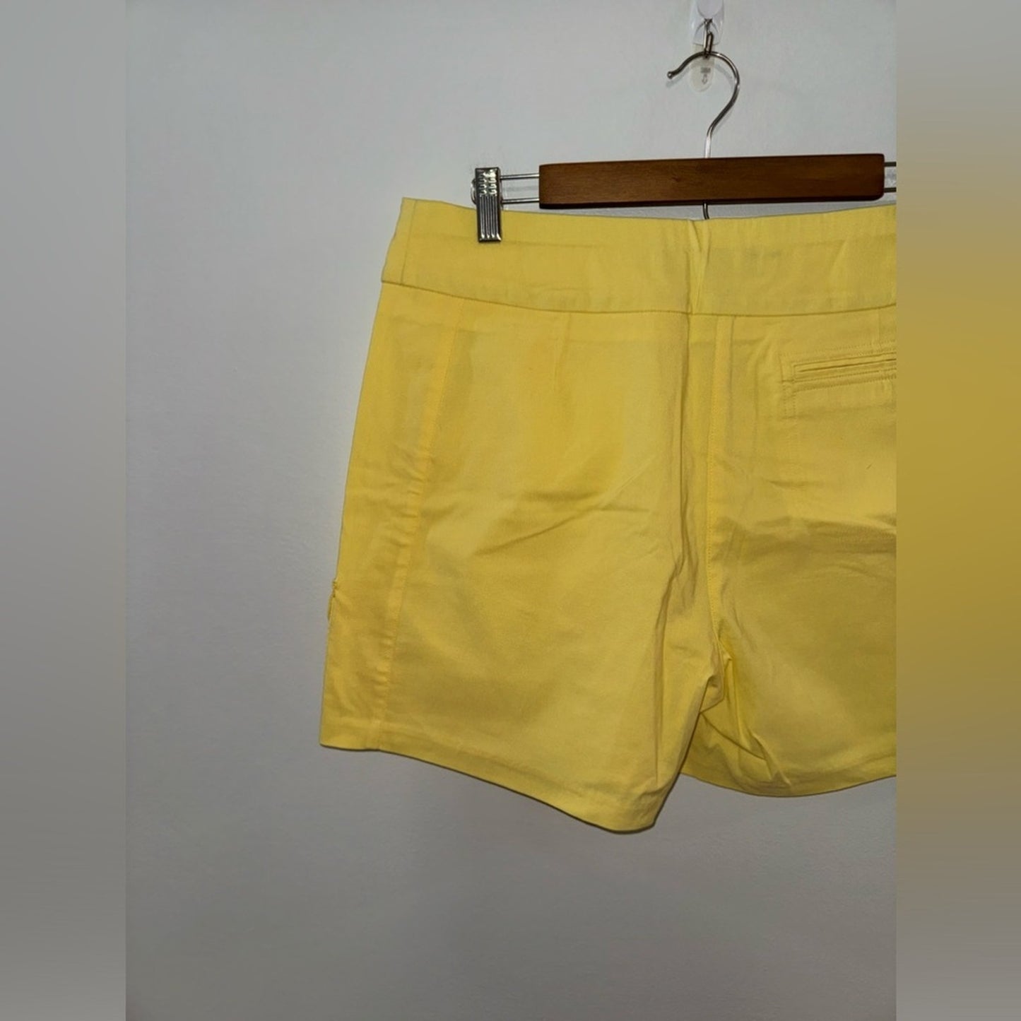 NWT Size 14 Jamie Sadock Lemon Soufflé Shorts