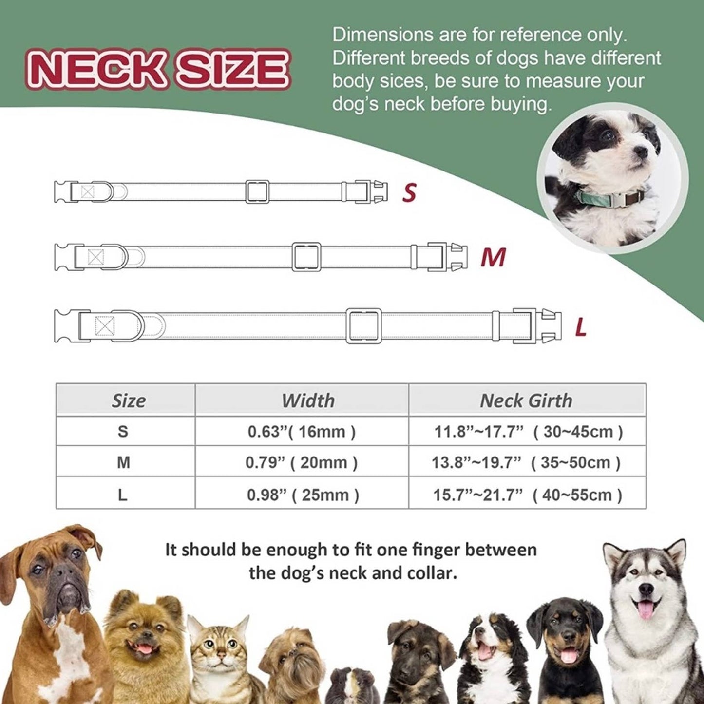MOBA Pet Dog Collar Metal Buckle Adjustable Dog Collar Size Small Green