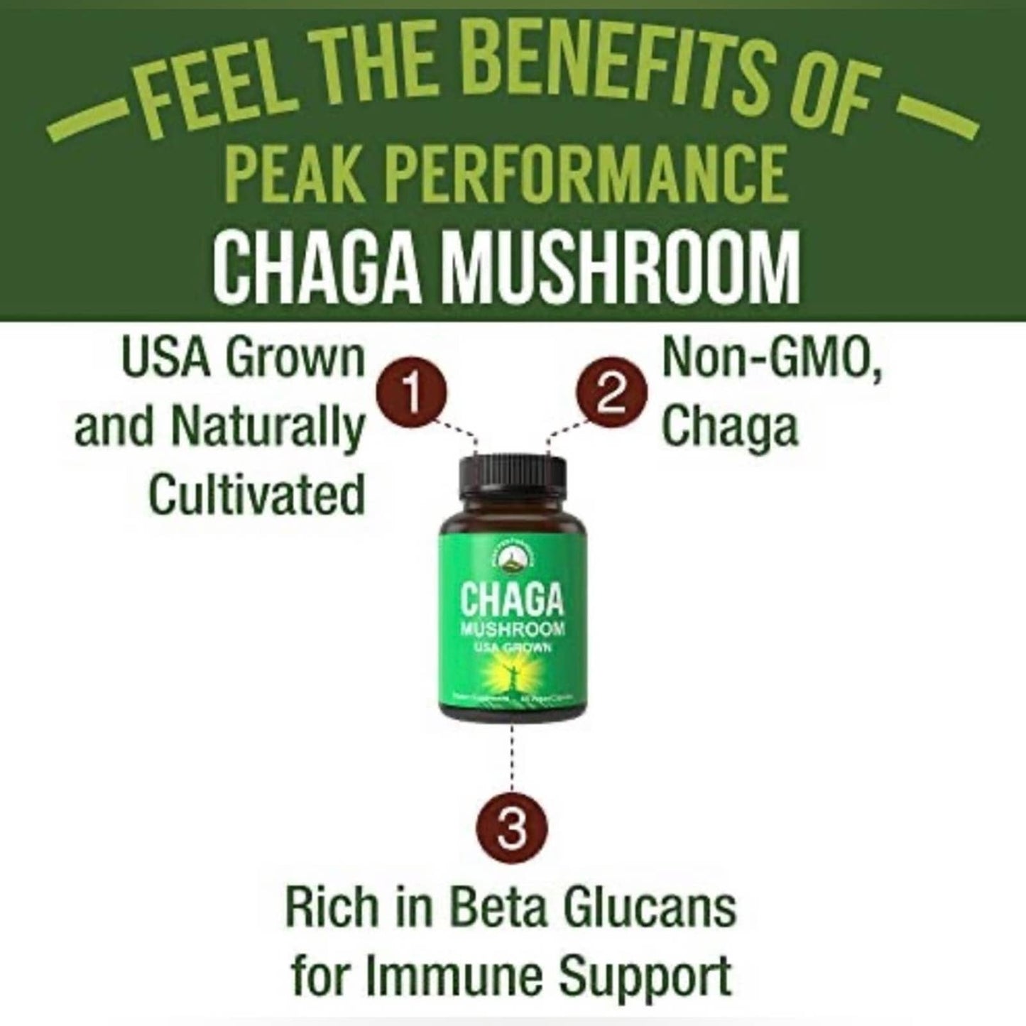 Chaga Mushroom Capsules - USA Grown Made with Chaga Mushrooms 60 Capsules